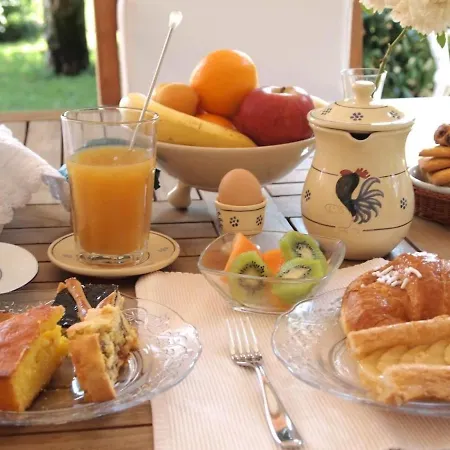 Il Tulipano Free Private Parking Bed & Breakfast