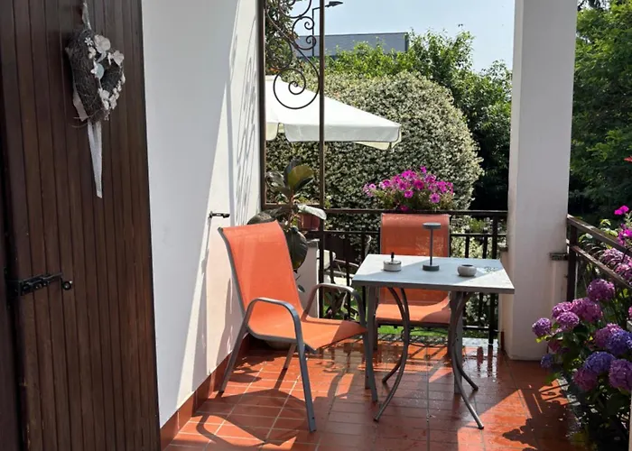 Il Tulipano Como